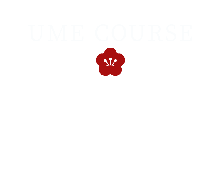 UME COURSE